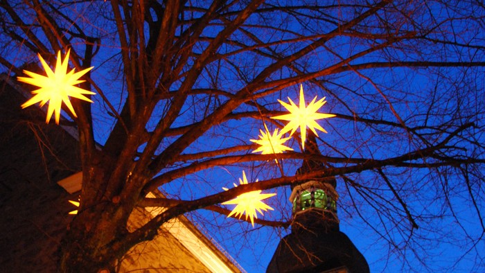 Bäume mit Weihnachtssterne vor Kirche