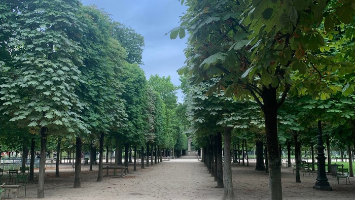 En grøn stol står alene i en sandstrået park med høje træer på hver side