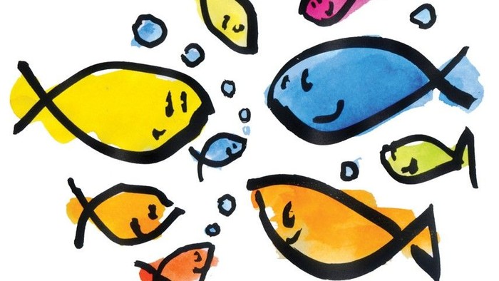 Bunte Fische schwimmen in einem Aquarium