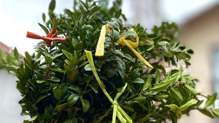 Ein Bund frischer Kräuter mit bunten Bändern liegt auf einem Tisch.