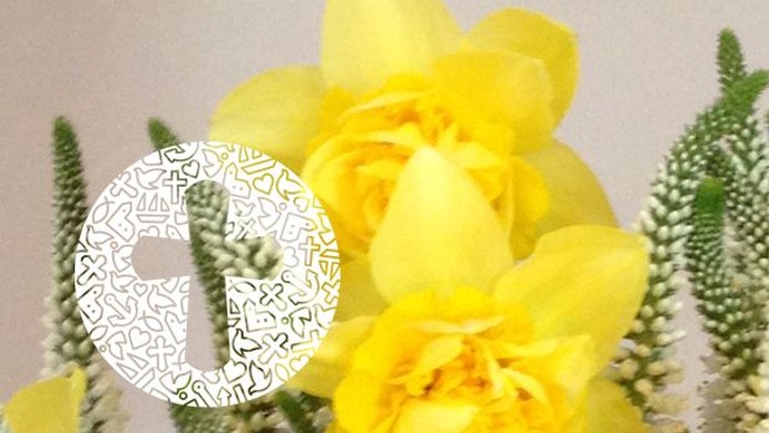 Et blomsterarrangement med gule blomster og grønne blade.