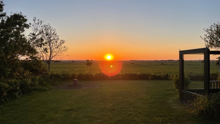 Ein Sonnenuntergang über einem grünen Feld mit Bäumen und einem Holzzaun