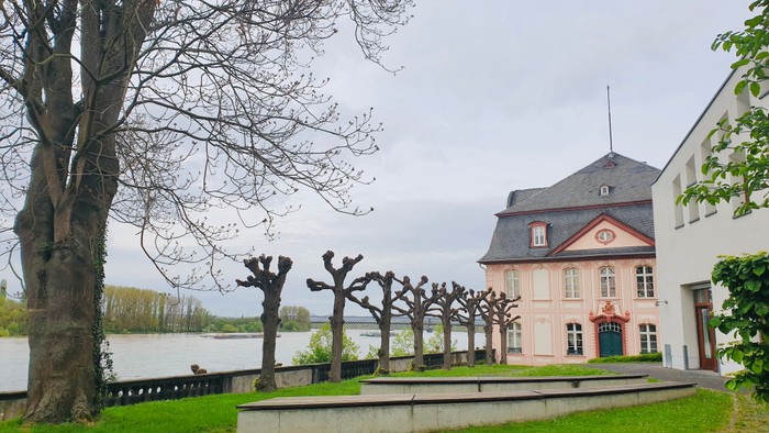 Ein charmantes Haus am Wasser mit einem großen Baum und einem gepflegten Garten.