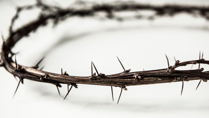 Et svart og hvitt billede af en trækrone med spær.