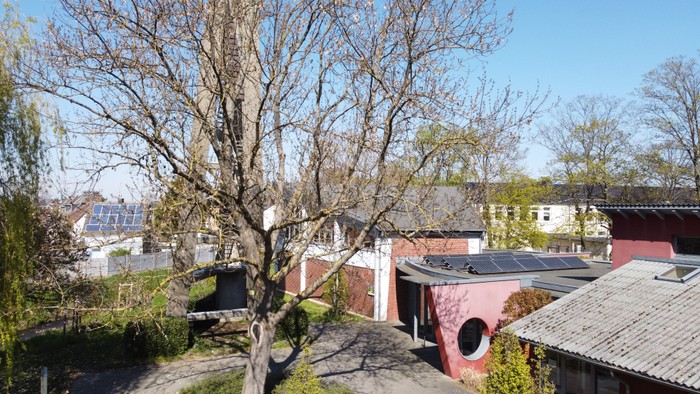Ein Baum vor Häusern und einem Fluss unter blauem Himmel