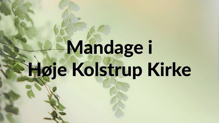 Billedet viser teksten