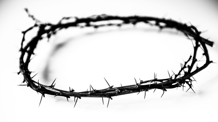 Et sort og hvid billede af en tågekrone.