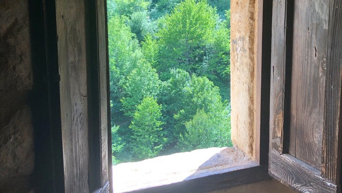 En åben dør i en stenmur med udsigt til en grøn skov.