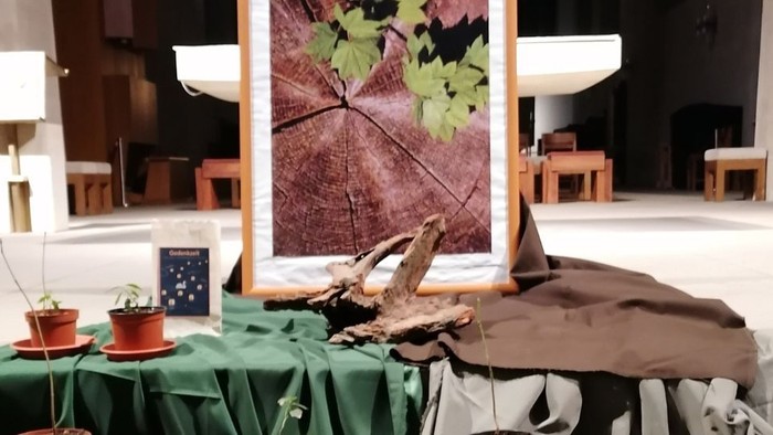 Tisch mit Pflanzen, Lampen und einem gerahmten Bild in einem geräumigen Zimmer