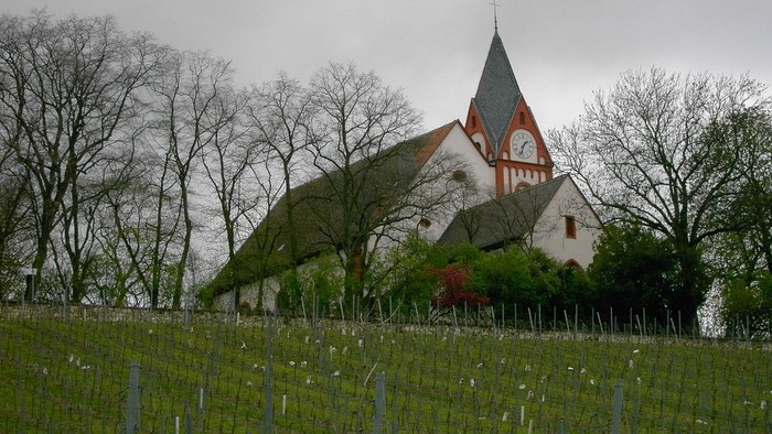 Kirchengrundstück mit hohem Gras und kahlen Bäumen