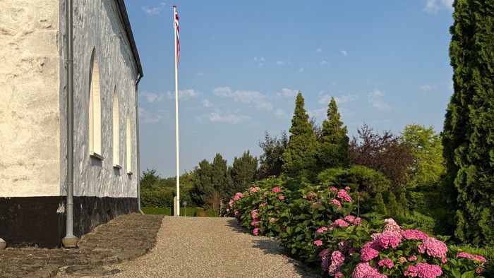En fredfyldt sti omgivet af blomstrende lyserøde blomster og høje træer fører hen til en hvid bygning med en flagstang.