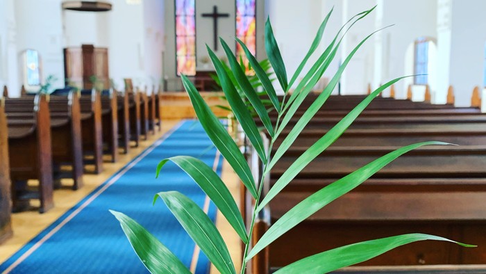 En palmeblade i en vase på en kirkebænk