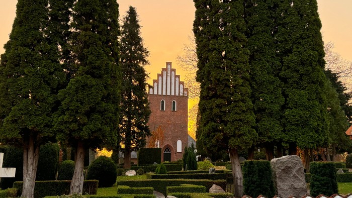 En kirke med tårn og høje træer foran, belyset af solnedgang