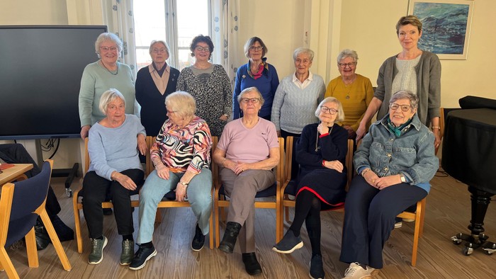 En gruppe pensionister sidder og står i en stue med billeder og vinduer.