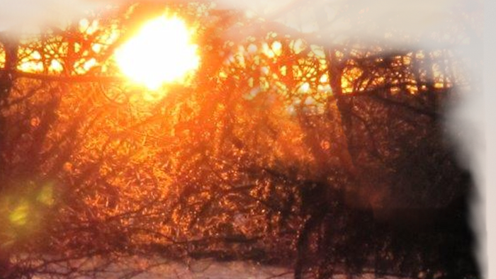 Das Buchcover zeigt einen Sonnenaufgang mit dem Titel 