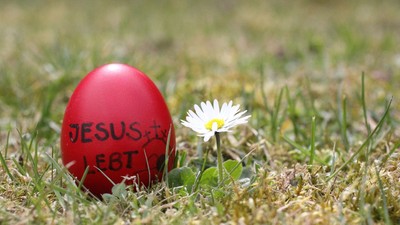 Ein rotes Osterei mit der Aufschrift „Jesus RST“ neben einer kleinen weißen Gänseblümchen auf Gras.