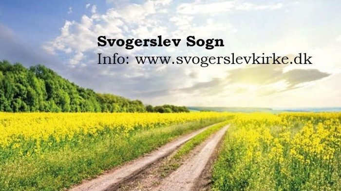 En smuk natursti gennem et blomstrende felt i Svogerslev Sogn