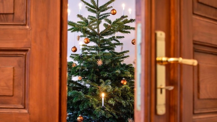 Durch die Holztür ist ein geschmückter Weihnachtsbaum zu sehen.