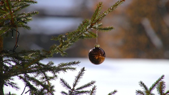 Eine glänzende Christbaumkugel hängt an einem Tannenzweig im Schnee.