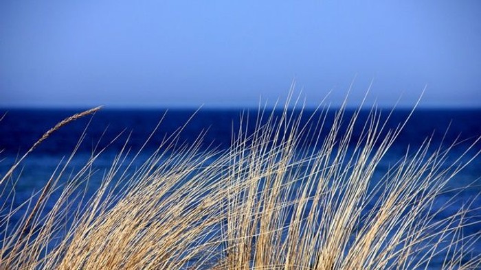 Strandhaar im Wind am Meer bei klarem Himmel
