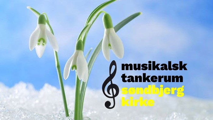 Tre hvide vintergækker blomstrer mod en snedækket, blå himmelbaggrund med teksten 