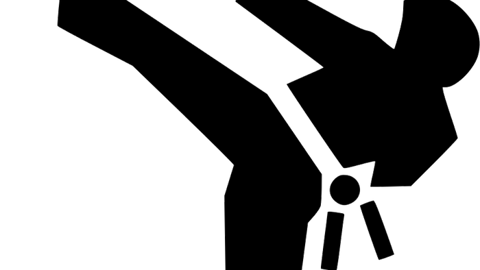 Silhouette of a martial artist performing a high kick.