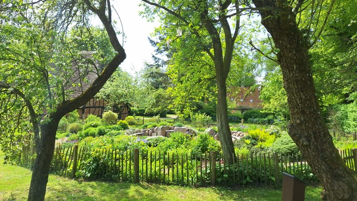 Üppiger Garten, umgeben von Bäumen mit einem Holzzaun und lebendigem Grün in einem ruhigen Hinterhof.