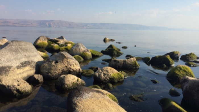 Rocky shoreline with moss-covered stones and calm sea under clear sky.