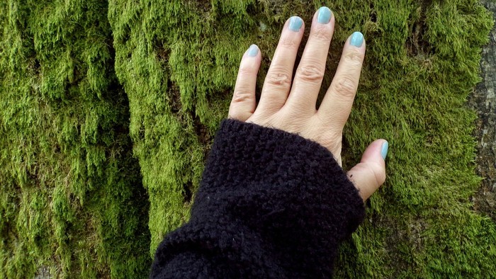 Hånd med blå nagler på grøn mose