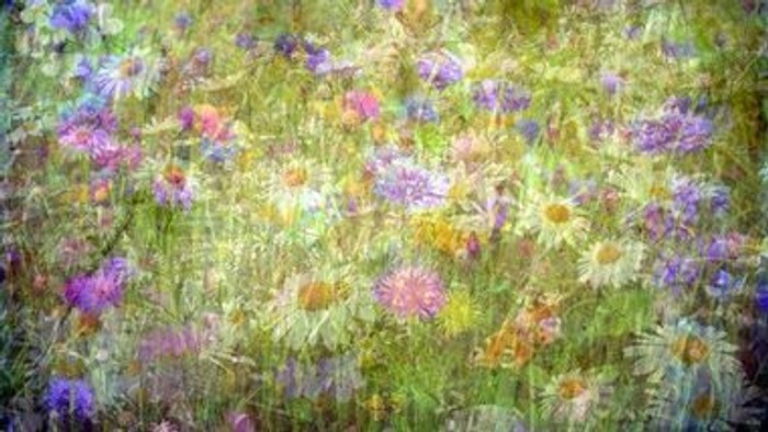 Ein impressionistisches Gemälde eines blühenden Feldes mit bunten Blumen und hohem Gras.