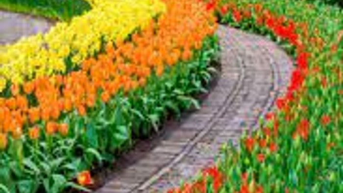 Colorful flower garden with winding path