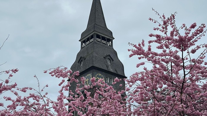 Turm mit spitzer Spitze hinter rosa blühendem Baum