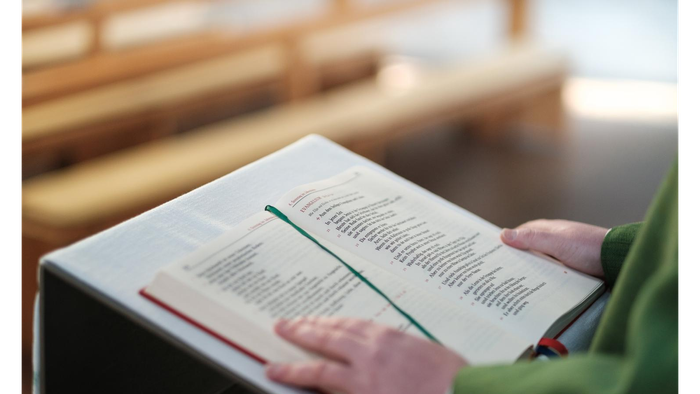 Person liest Buch und markiert Text mit Stift