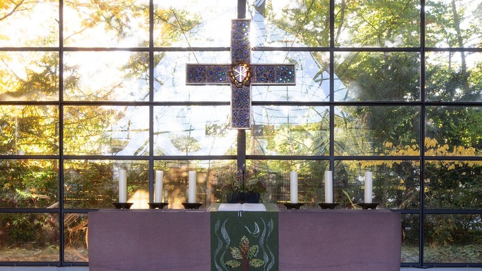 Modernes Zimmer mit großen Fenstern, rosafarbenem Sofa und grüner Kunst