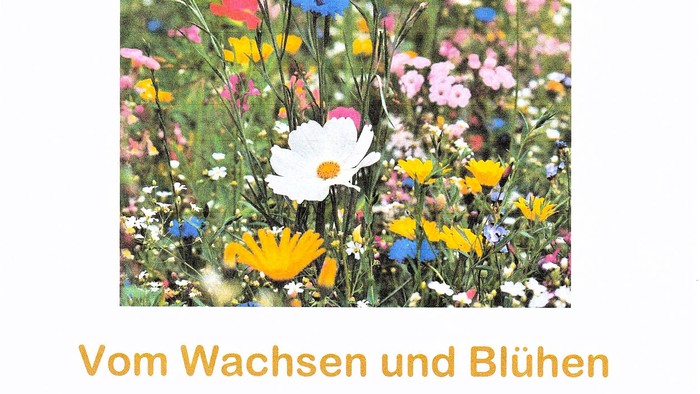 Familiengottesdienst mit Kinderbetreuung zum Thema Wachstum und Blühen am 22. März um 11 Uhr.