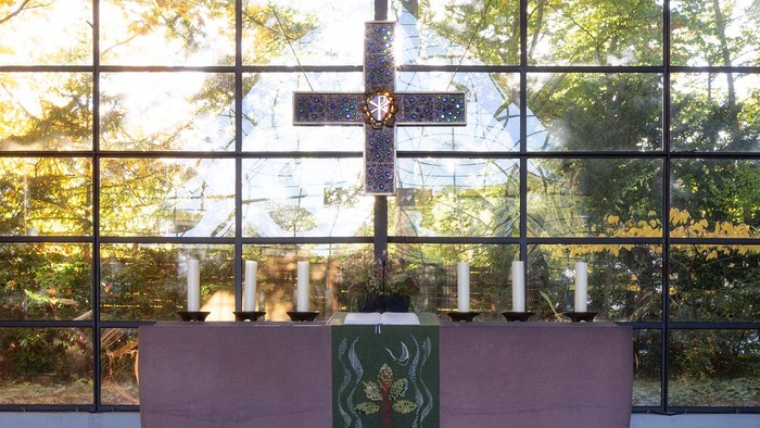 Modernes Zimmer mit großen Fenstern, rosafarbenem Sofa und grüner Kunst