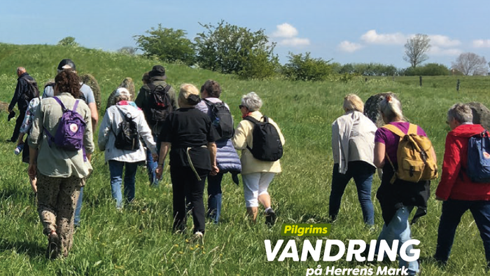 En gruppe pilgrimme går på en grøn marker under et klart blå himmel