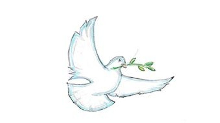 En hvid dunde med olivengrene i næbbet.