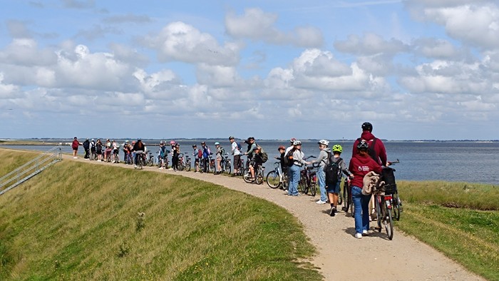 Eine Gruppe Radfahrer fährt entlang eines Weges neben einem Deich, mit Blick auf einen See.