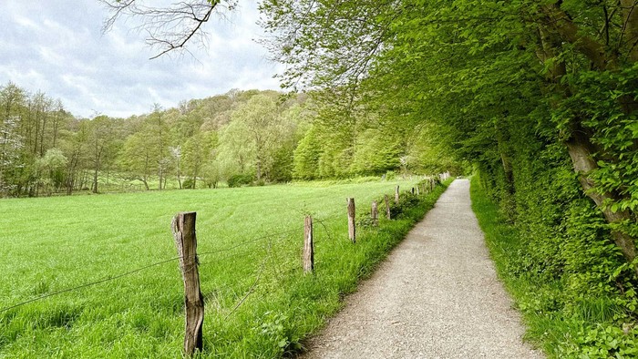 Ein schmaler Kiesweg führt durch eine grüne Wiese, umgeben von Bäumen und einem Zaun aus Holzpfosten.