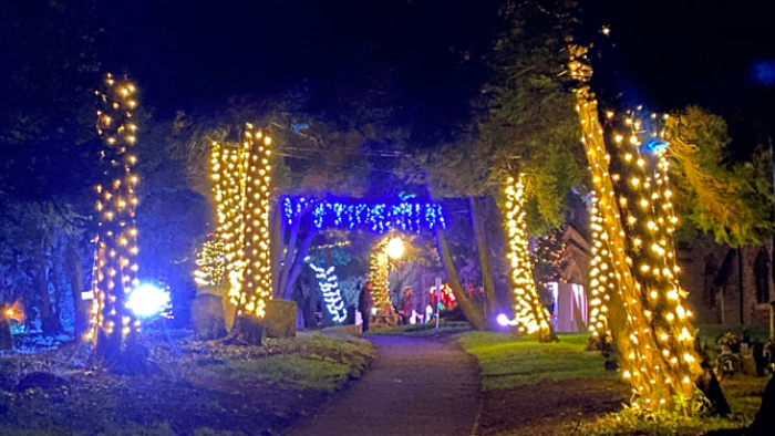 Park decorated with Christmas lights at night