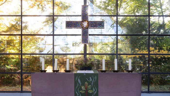 Modernes Zimmer mit großen Fenstern, rosafarbenem Sofa und grüner Kunst