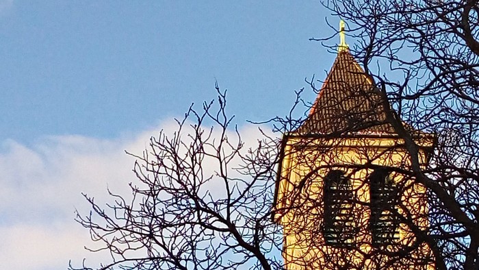 Bäume vor Kirche bei Sonnenuntergang