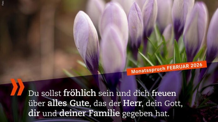 Nahaufnahme blühender violetter Blumen mit einem deutschen monatlichen Inspirationszitat aus 5. Mose 26,11.