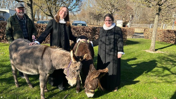 Billede af præsterne Susanne og Mette, to æsler og æslernes ejer