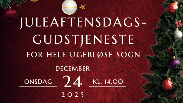 Julefestplakat med dato og detaljer på dansk