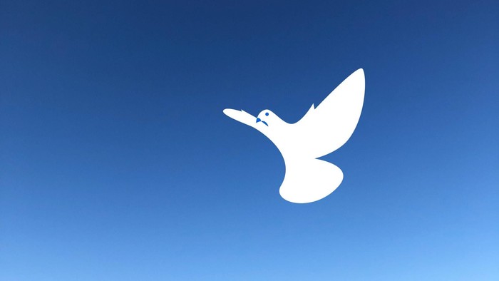 Ein weißer Vogel fliegt am klaren blauen Himmel.