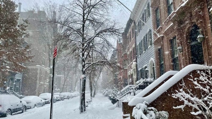 Snødekt gade i bymiljø med parkering og træer.