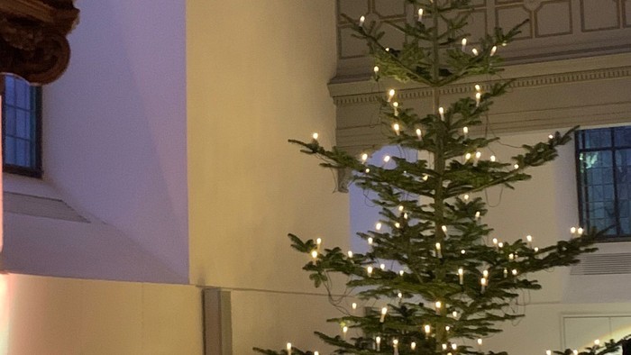 Ein geschmückter Weihnachtsbaum in einem hell erleuchteten Raum