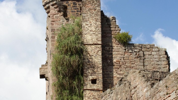Schloss mit wehender deutscher Flagge auf dem Dach